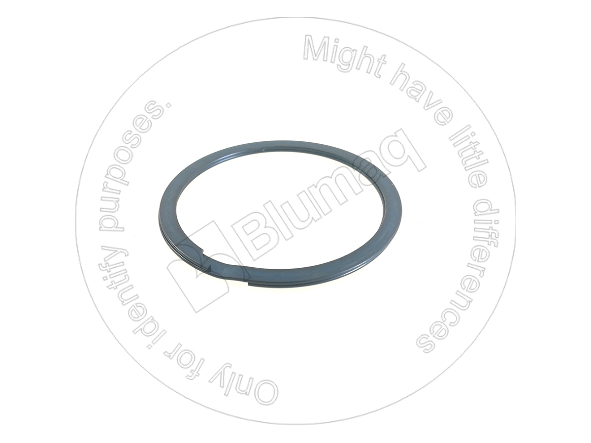 1S-3781 Seal Ring for BLUMAQ