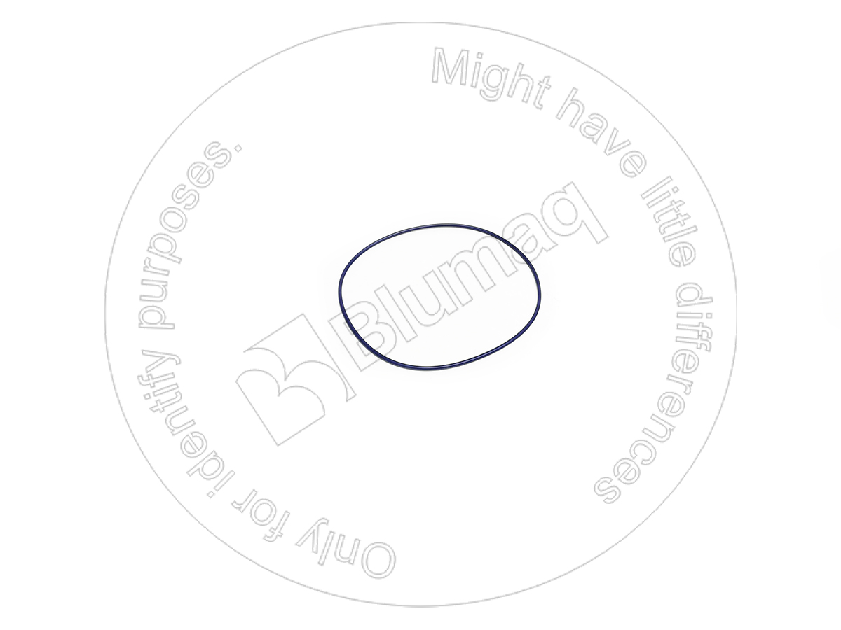 900.01799 Seal O-ring for BLUMAQ