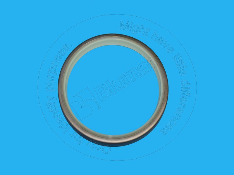 424-09-12320 Dust Seal