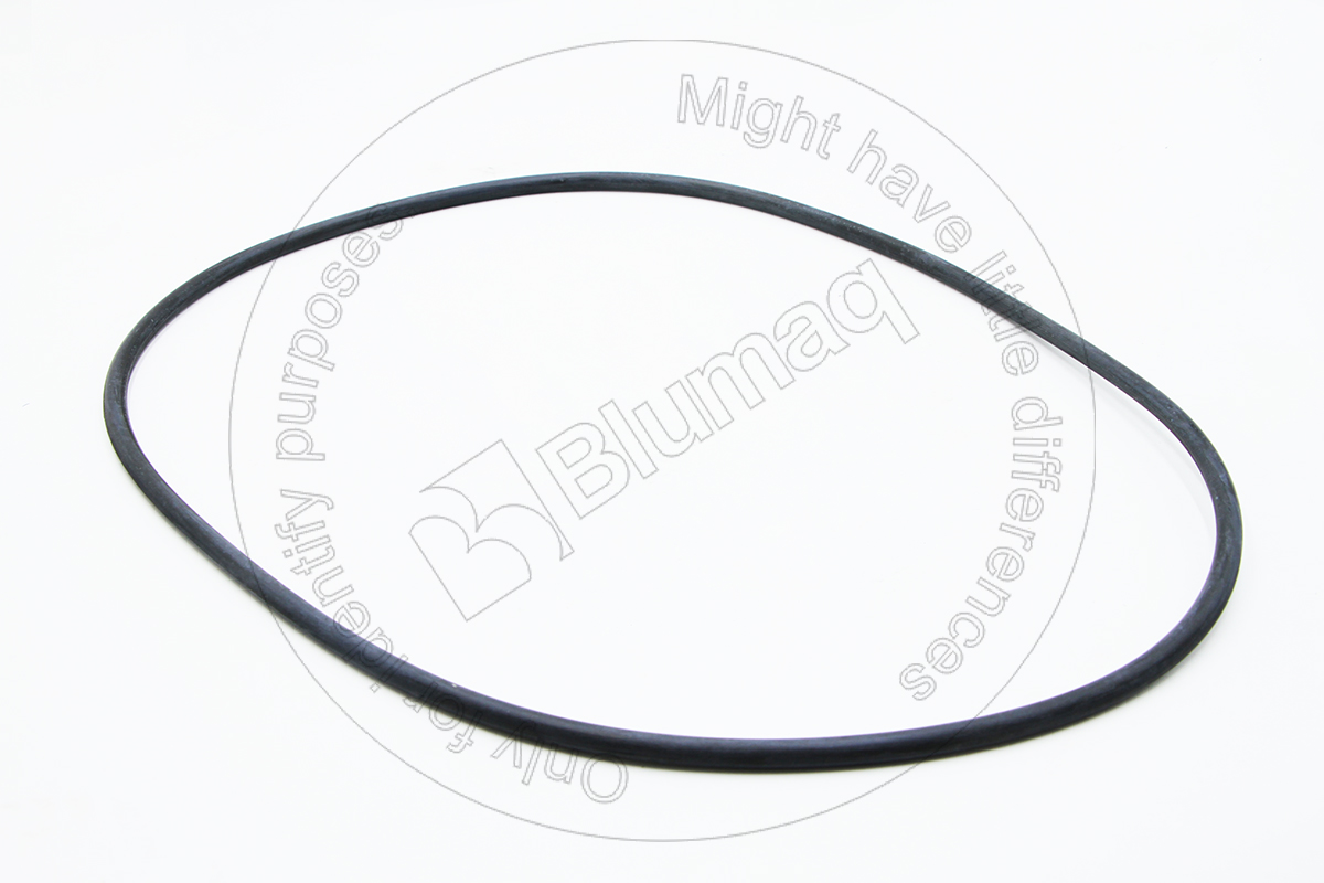 VO12A-453 Seal O-ring for BLUMAQ