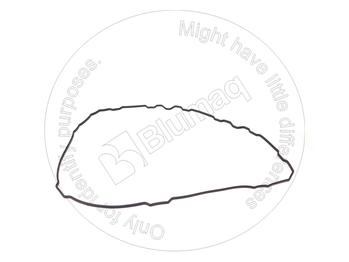 107-0969 Gasket for BLUMAQ