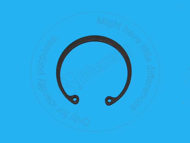 094-8965 Ring for BLUMAQ