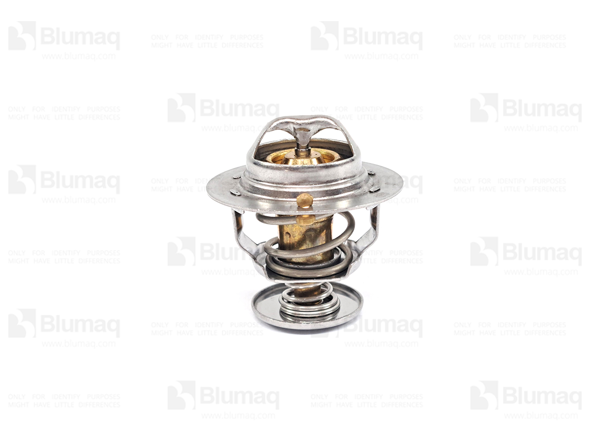249-5541 BLUMAQ Thermostat