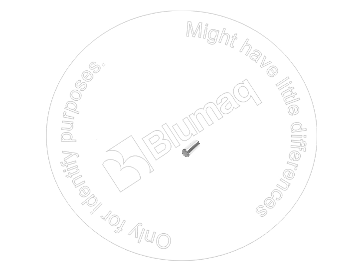 CS73300865 Circlip