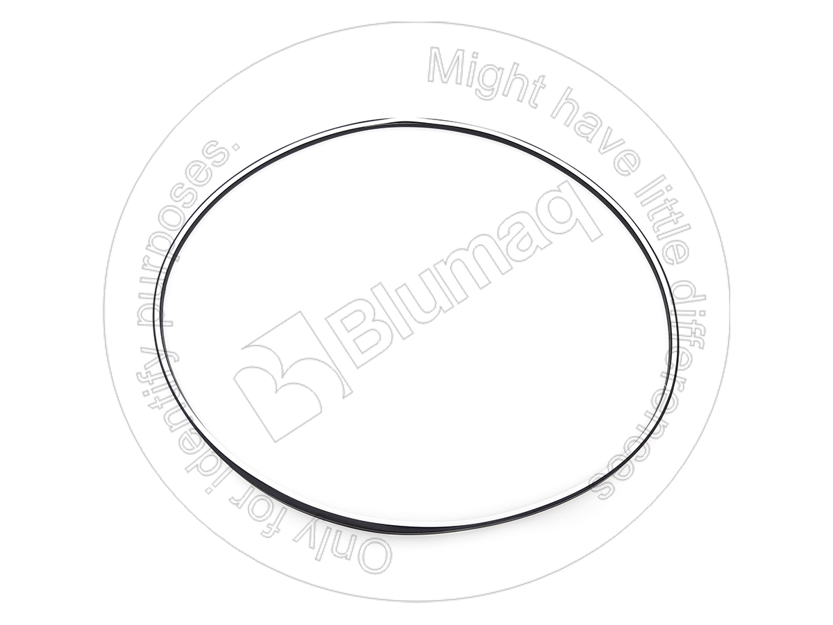 228-0417 Seal for BLUMAQ