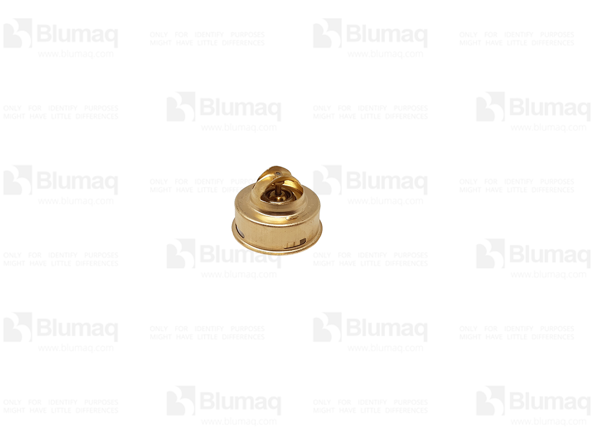 124-4835 Thermostat for BLUMAQ