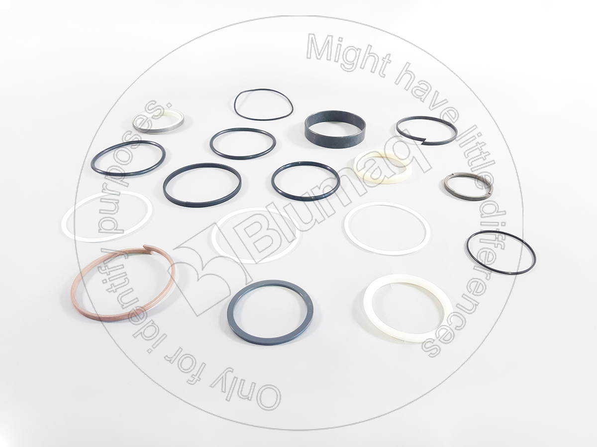 170-9937 Seal Kit for BLUMAQ