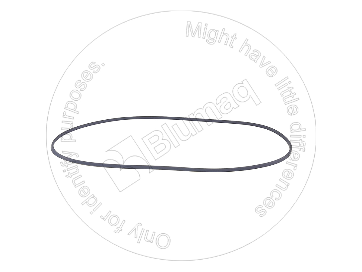 163-7234 Seal D Ring for BLUMAQ