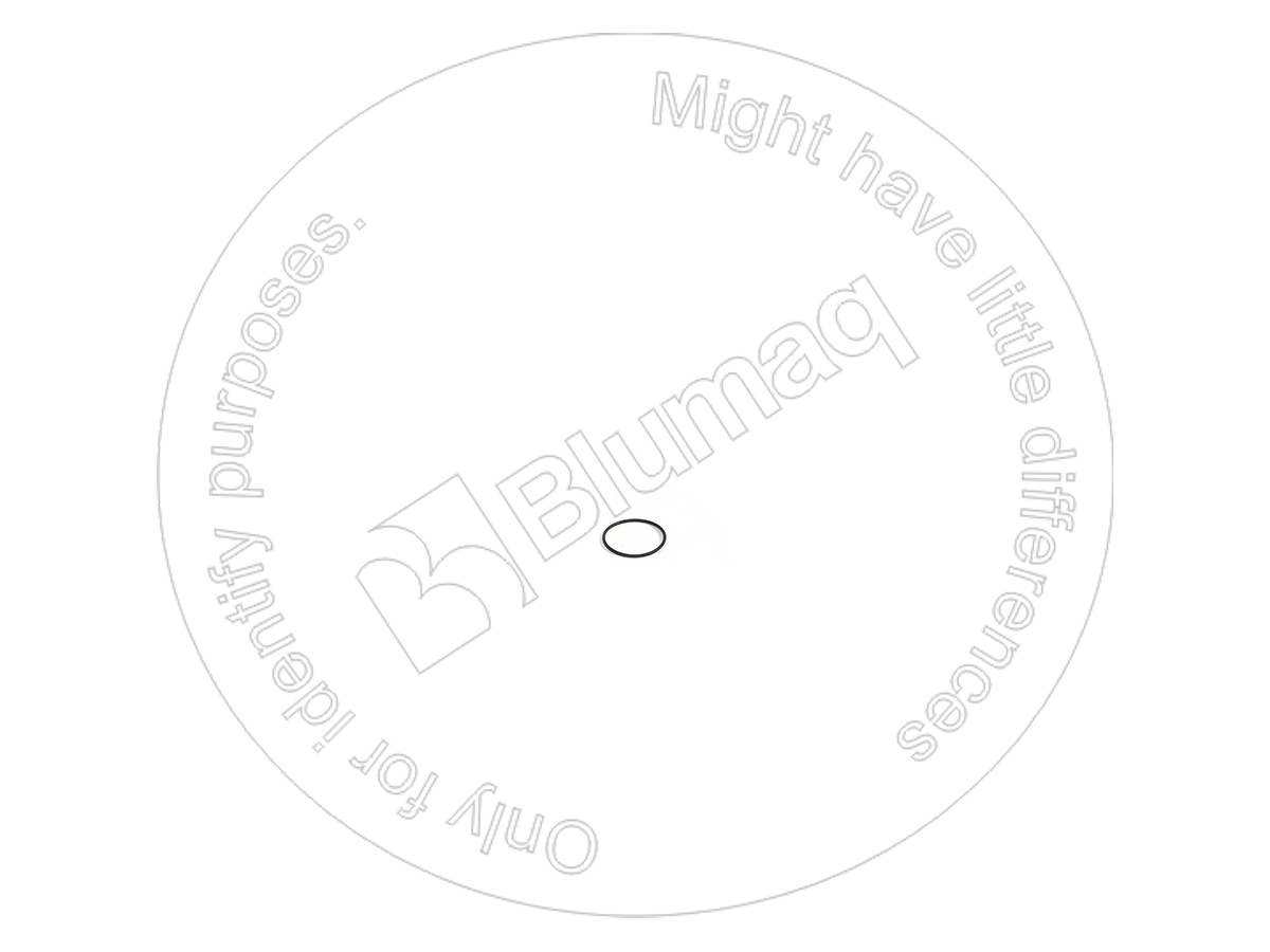 5D-6539 Seal O-ring
