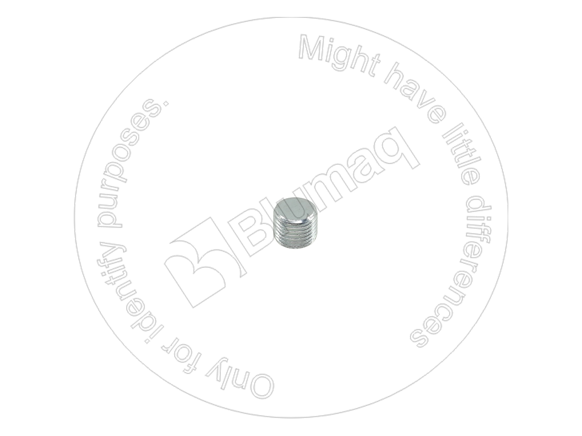 42575567 Plug for BLUMAQ