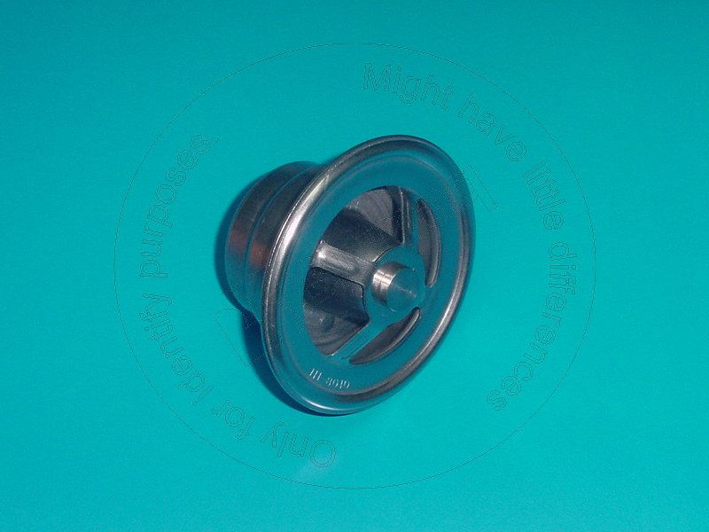 111-8010 Thermostat for BLUMAQ
