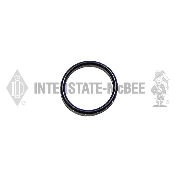 A-5193598 Ring - Raw Wp Shaft Seal