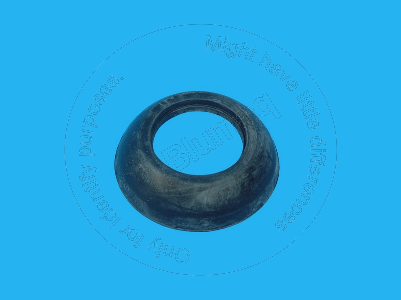 2G-9491 Seal for BLUMAQ