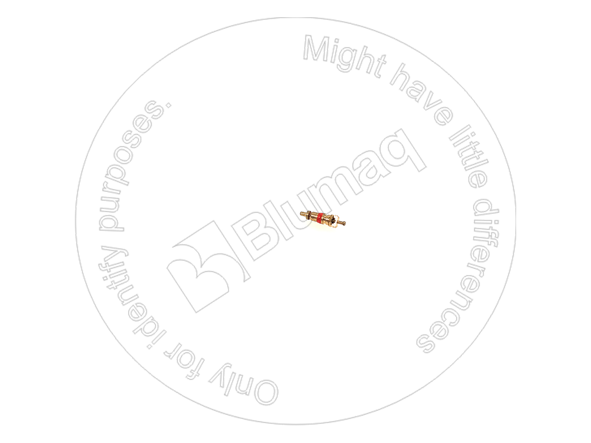 175-3185 Valve for BLUMAQ