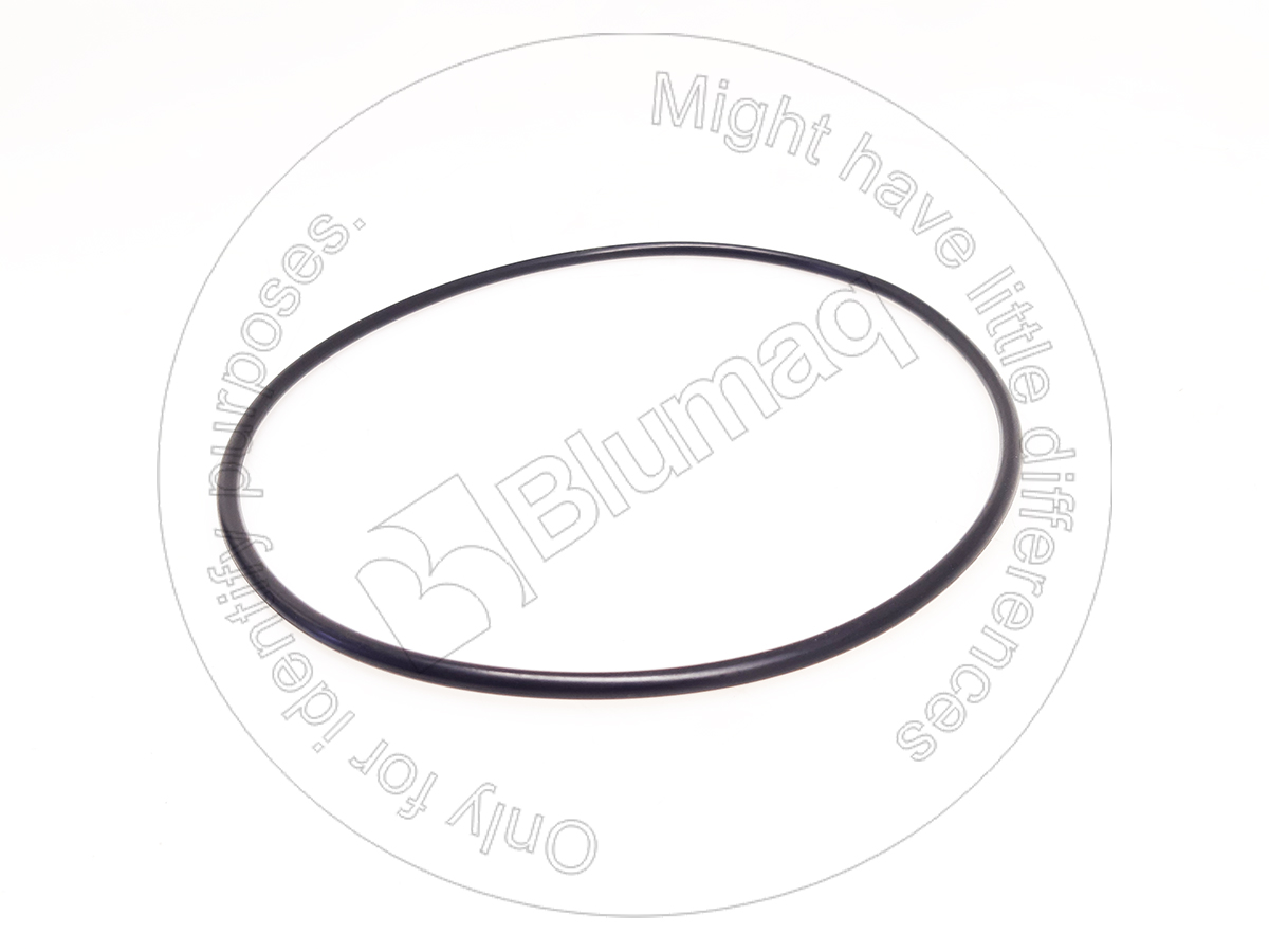 02894-07265 Seal O-ring for BLUMAQ