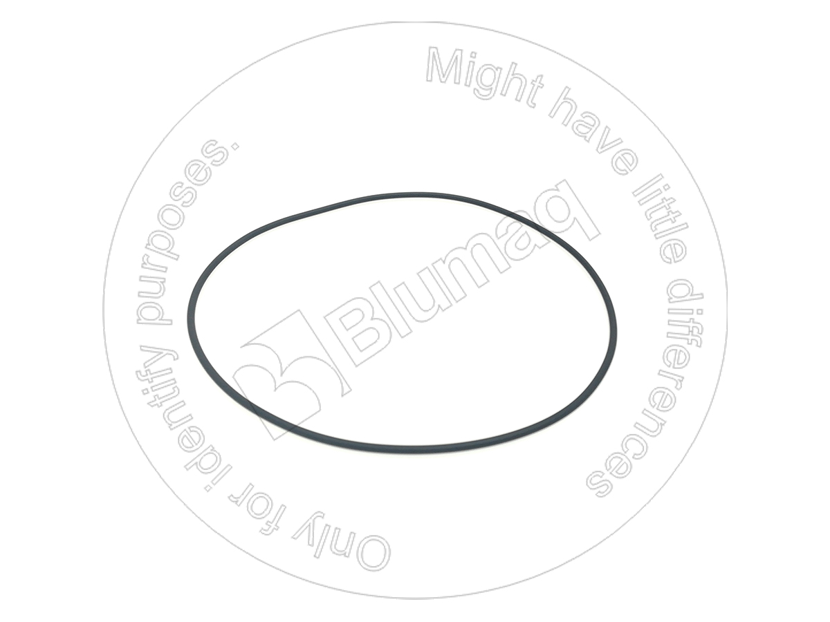 CS1270677C92 CASE Seal O-ring