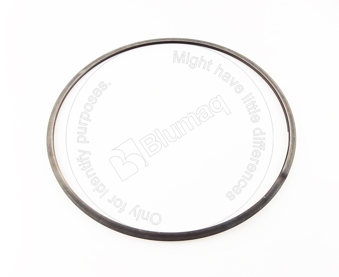 8G-9736 BLUMAQ Seal Ring
