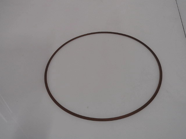 8603577 CASE Ring