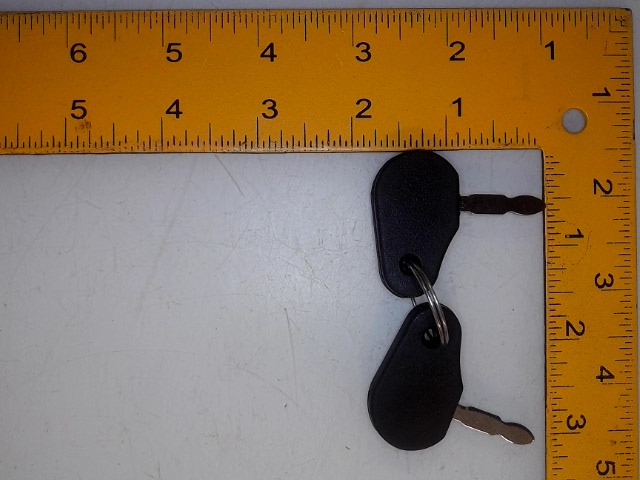 2229A00101 Key Setof2 for AGCO
