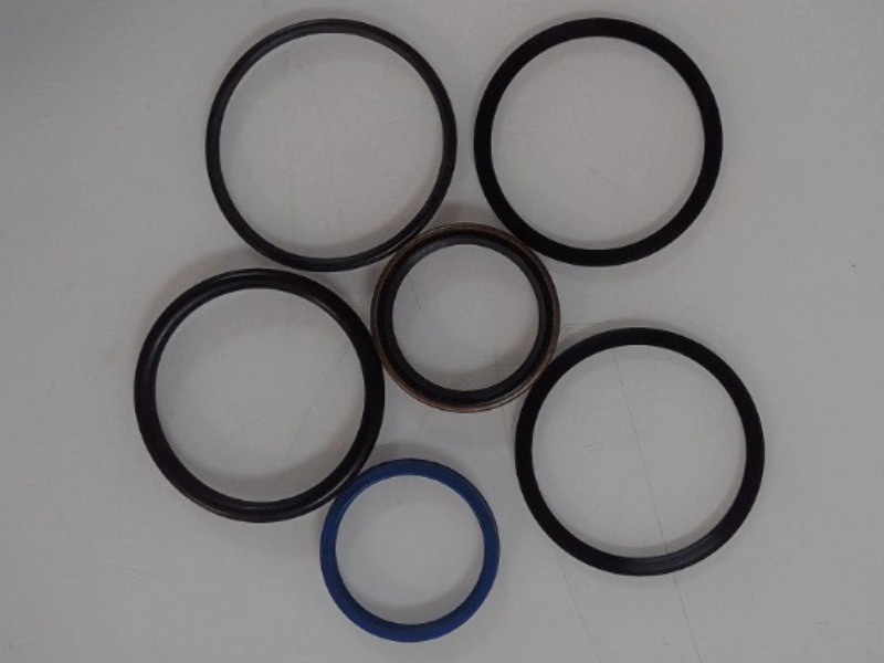 71512061 Seal Kit for AGCO