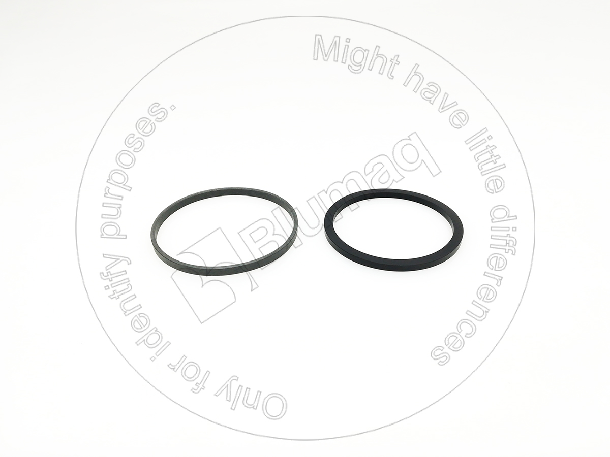 5J-5402 Piston Seal for BLUMAQ
