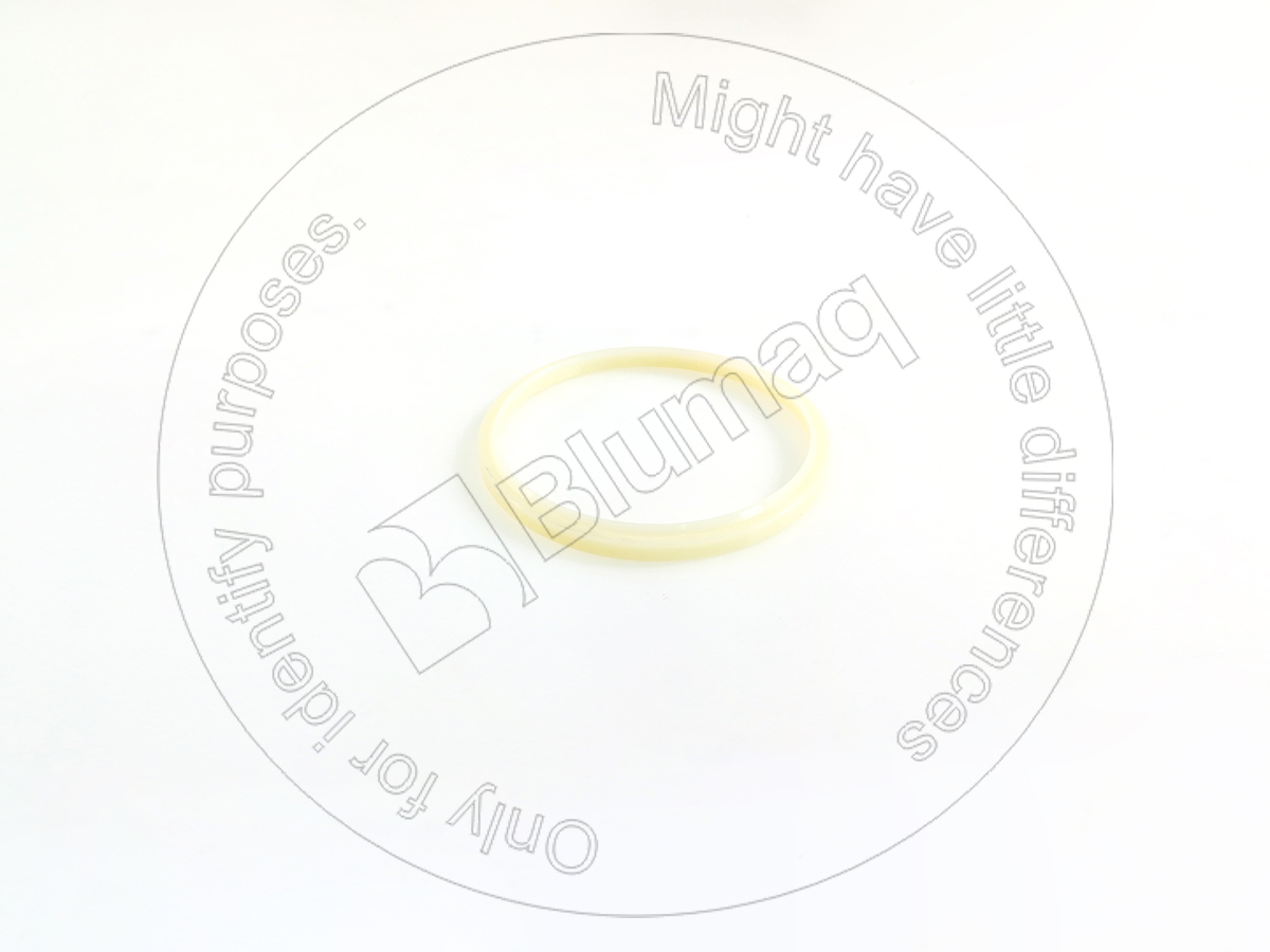 175-50-21180 Dust Seal for BLUMAQ