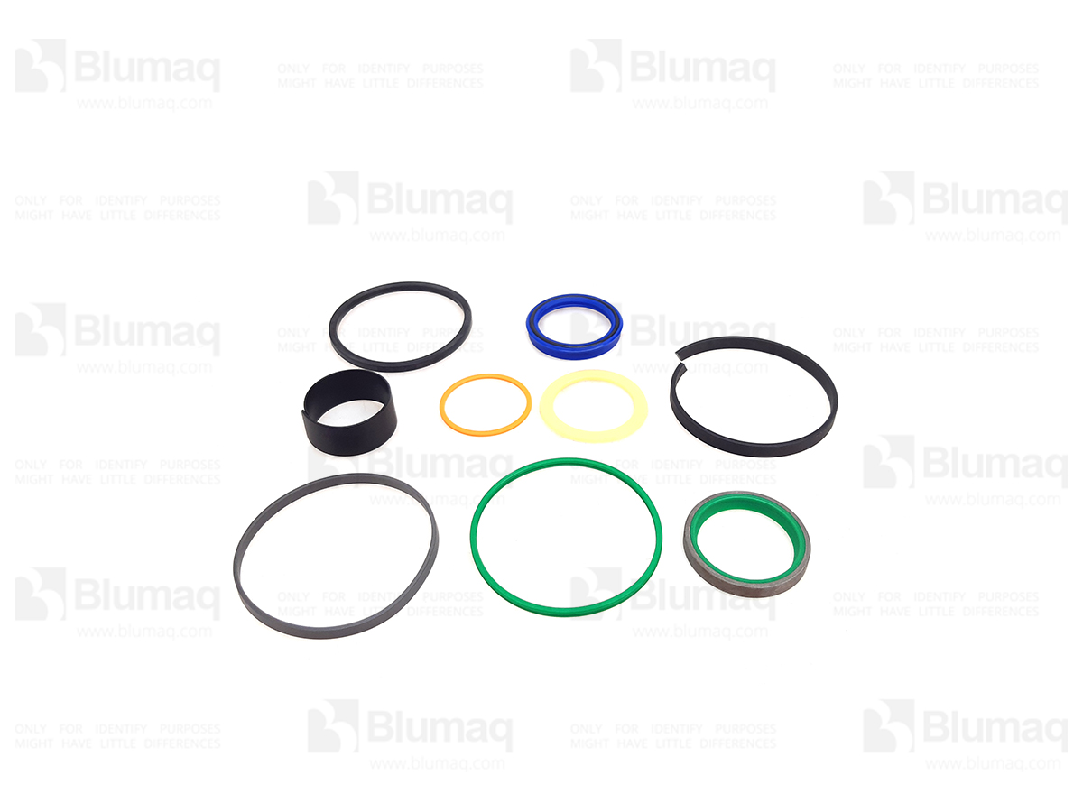 CS84155087 Hydraulic Seal Kit