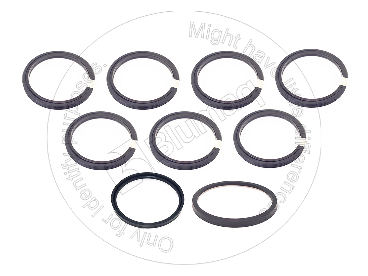 250-1047 Hydraulic Seal Kit for BLUMAQ