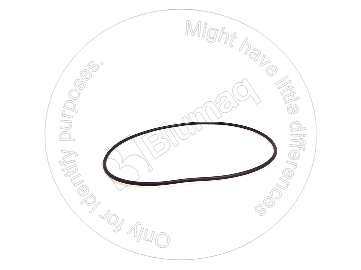 D120SB241 Seal O-ring for BLUMAQ
