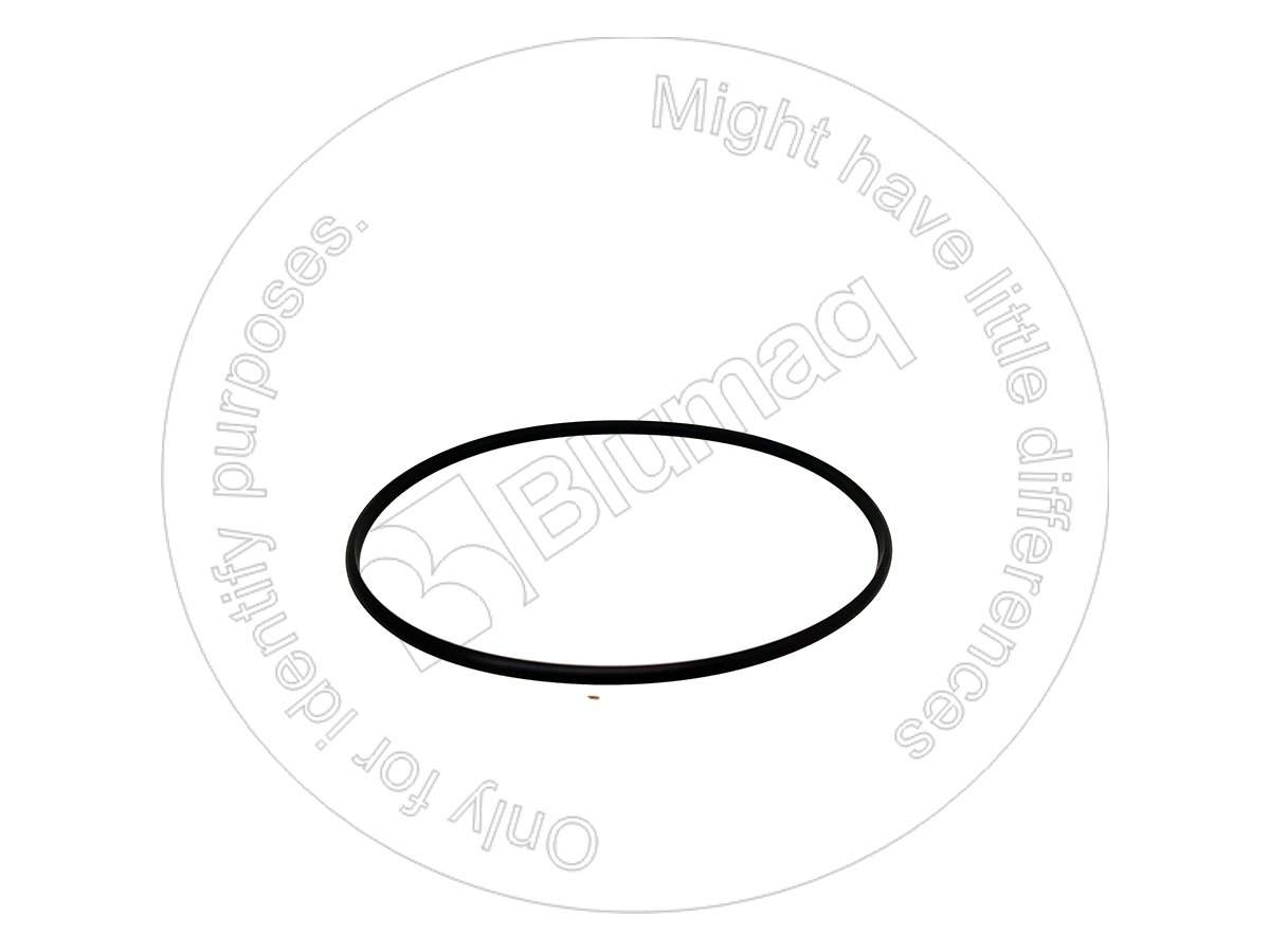 205-0191 Seal D Ring