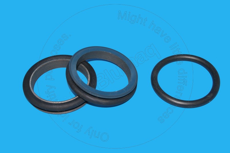 900.01602 Seal for BLUMAQ