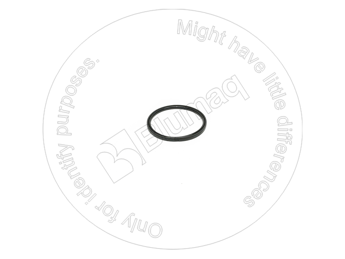 9X-3591 Piston Seal for BLUMAQ