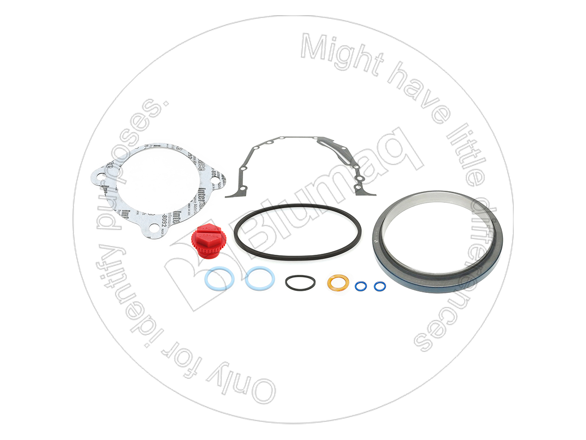 224-4440 BLUMAQ Gasket Kit