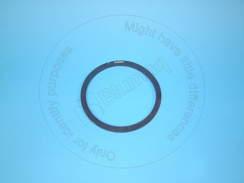 9J-3053 Rectangular Seal for BLUMAQ