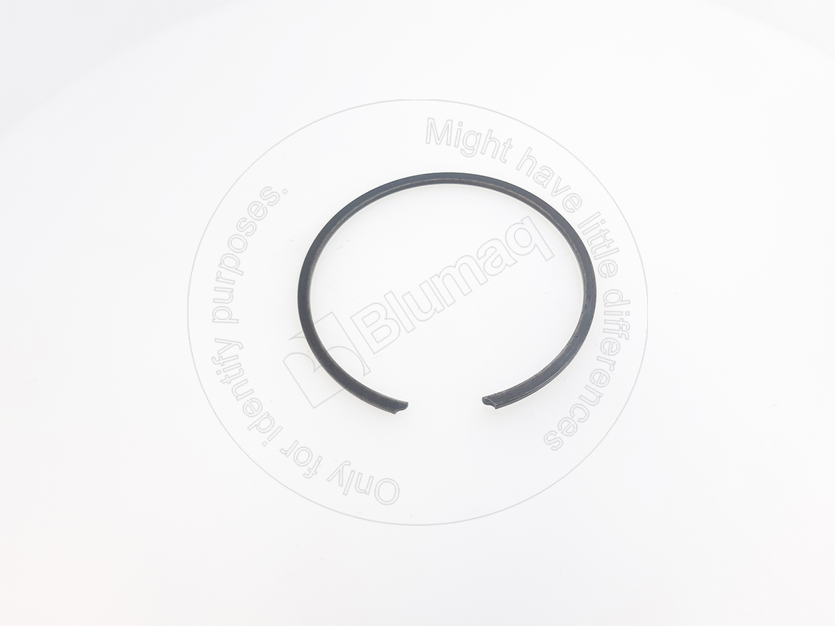 6D-4128 Seal Ring for BLUMAQ