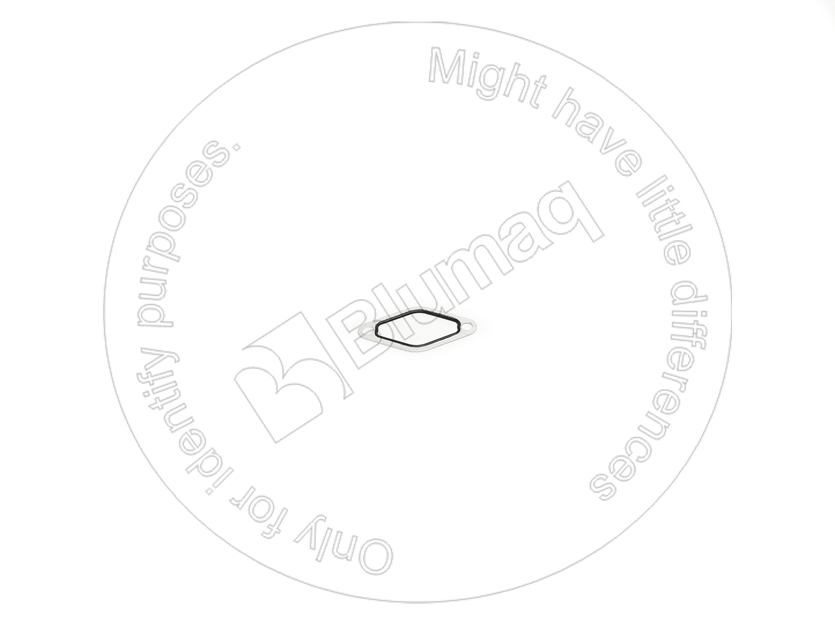 6I-2002 Gasket
