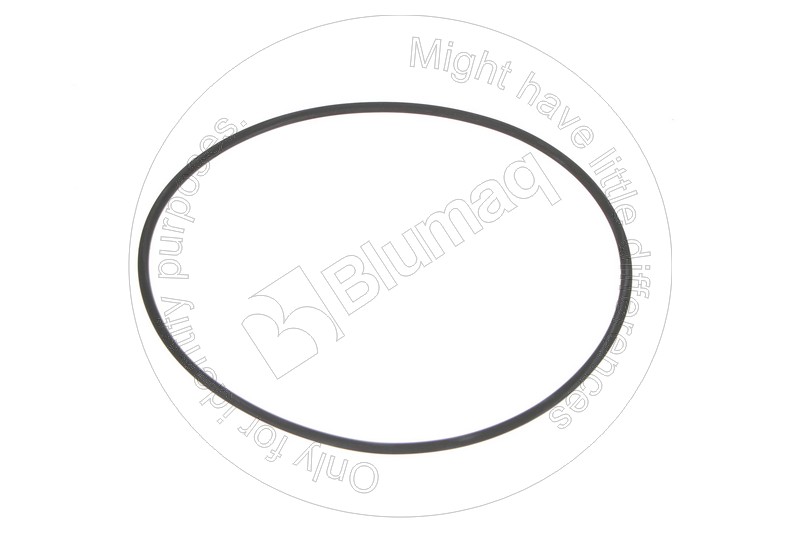VOCH12A-369 Seal O-ring for BLUMAQ