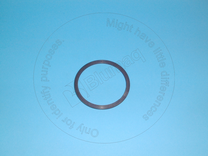 4M-8910 BLUMAQ Seal Ring