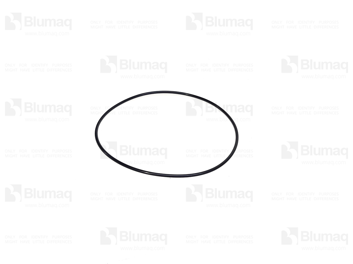 VO9511-22145 Seal O-ring for BLUMAQ