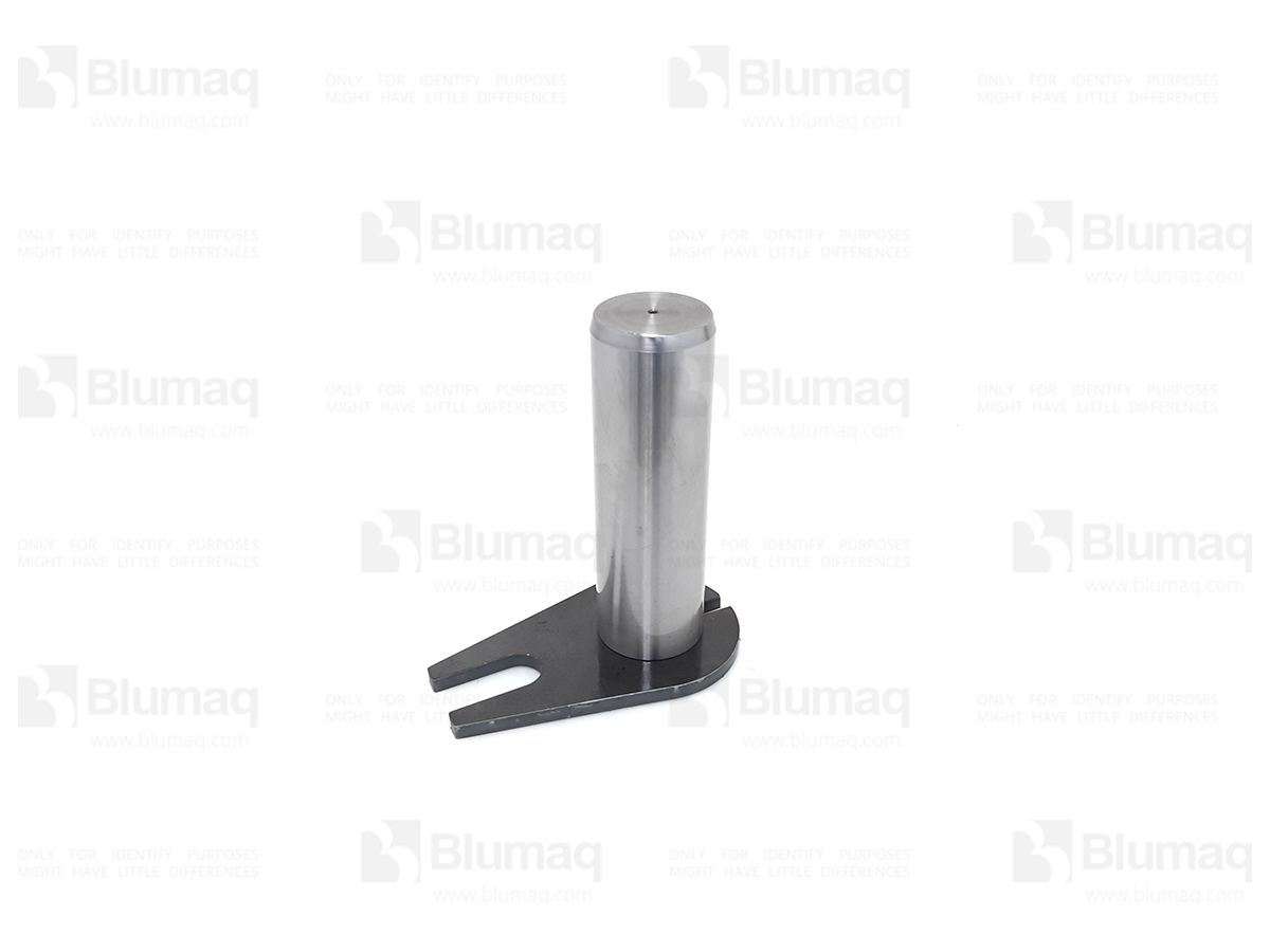 CS225775A1 Pin