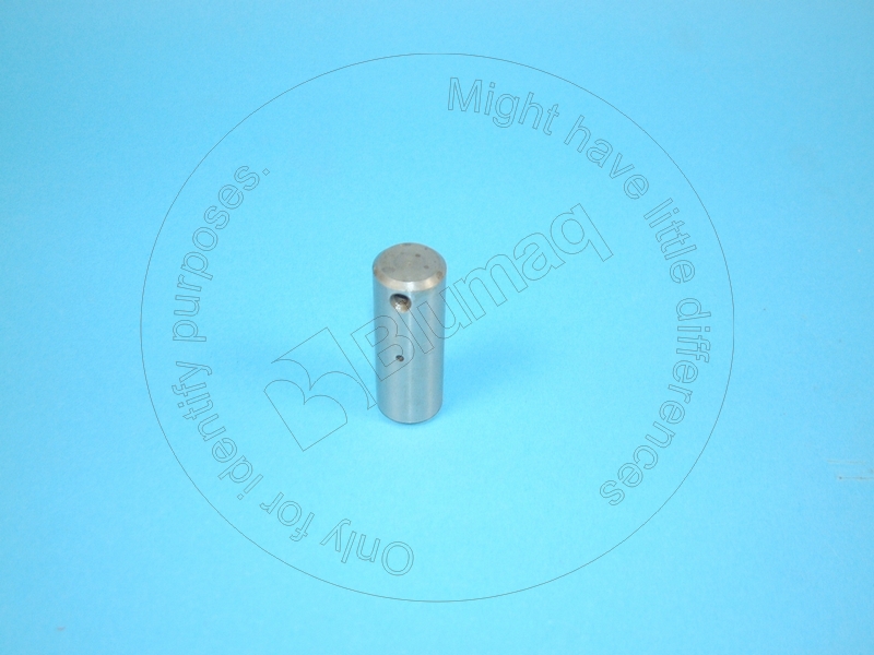 6P-3733 BLUMAQ Planet Shaft