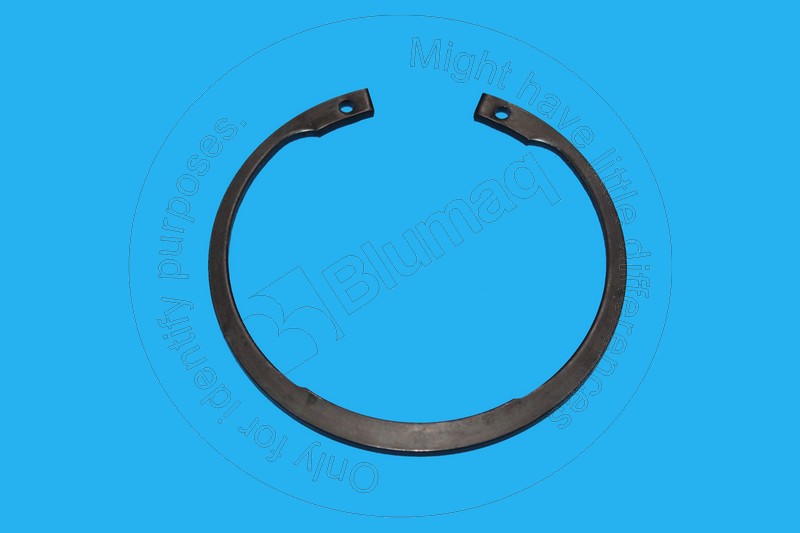 950946 Seal Ring