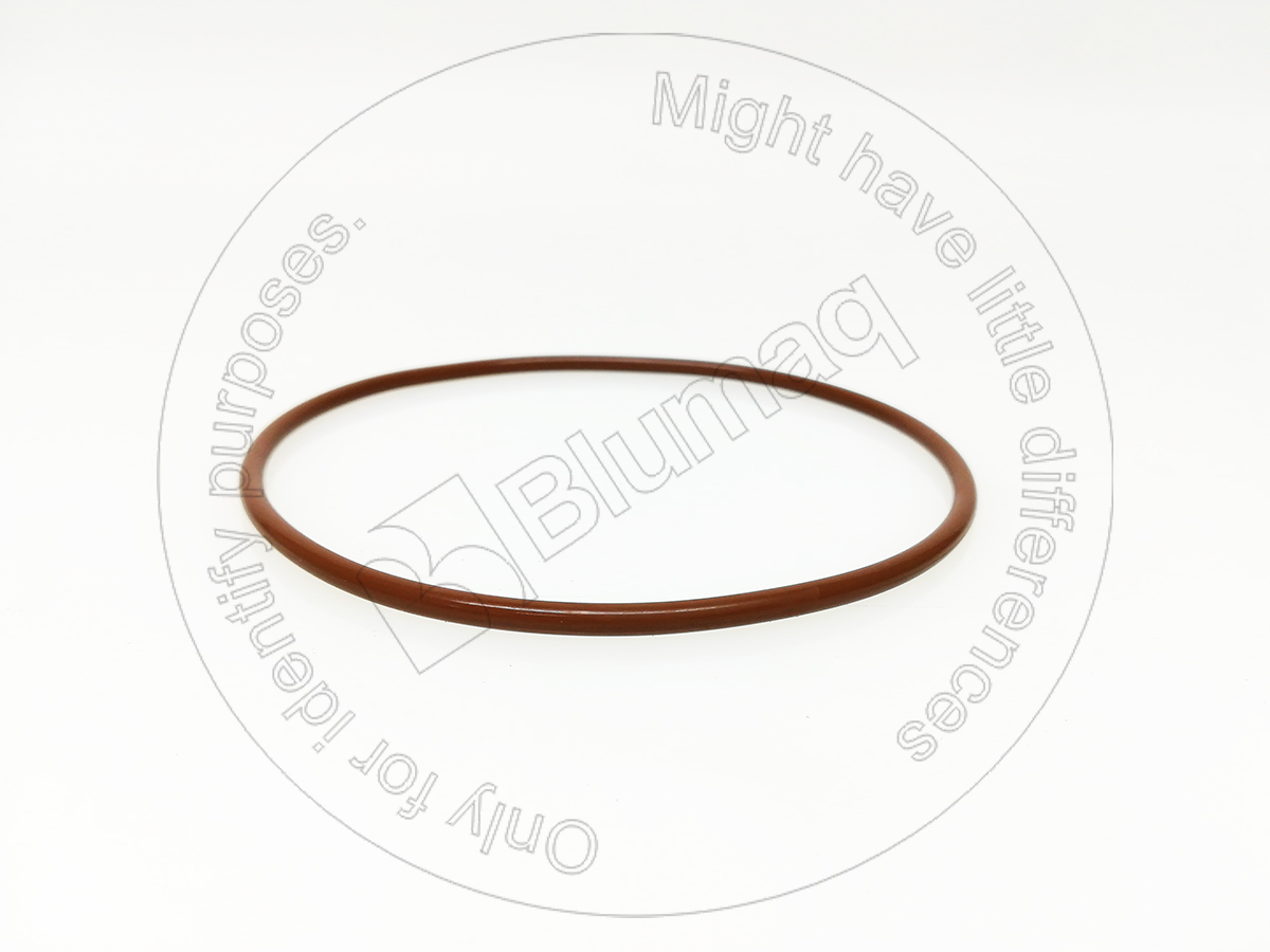 077-4849 Seal O-ring for BLUMAQ