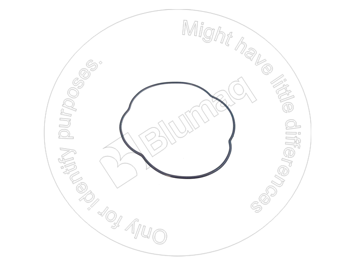 705-17-02420 Seal O-ring