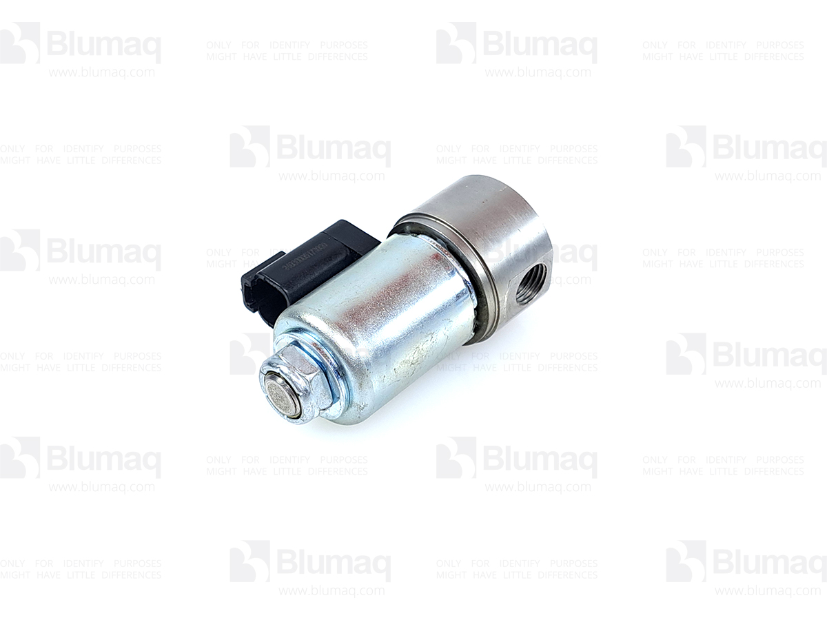 185-0008 Solenoid for BLUMAQ