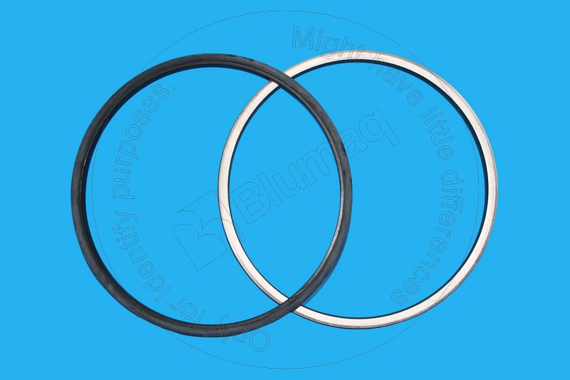 132-6141 Seal Gp. Duo-cone for BLUMAQ