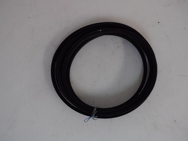 22004 Belt