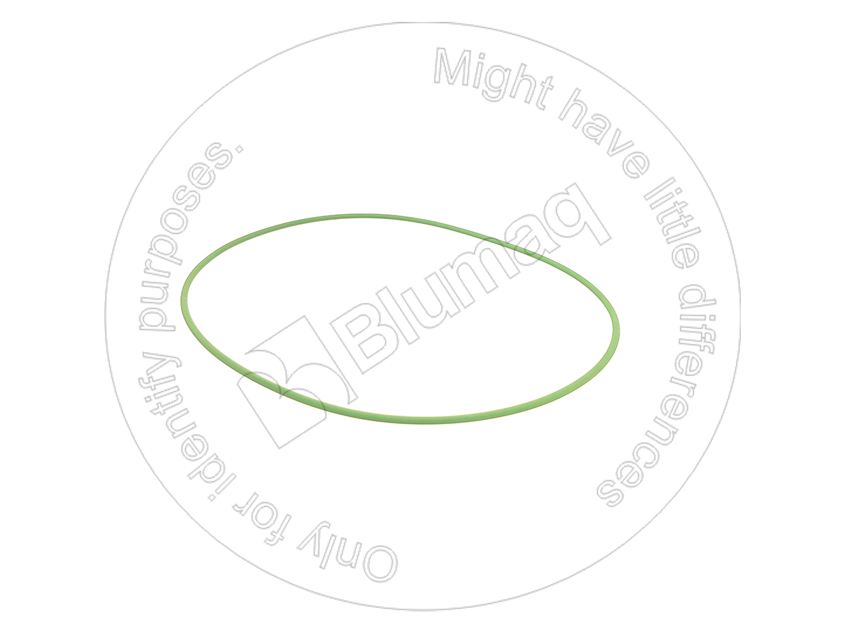 900.04116 Seal O-ring for BLUMAQ