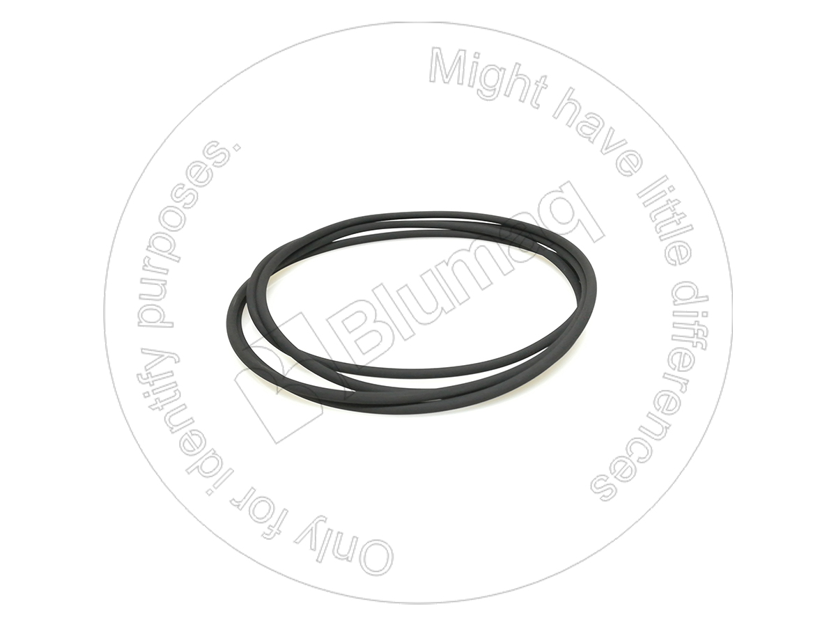 2D-6506 Seal O-ring for BLUMAQ