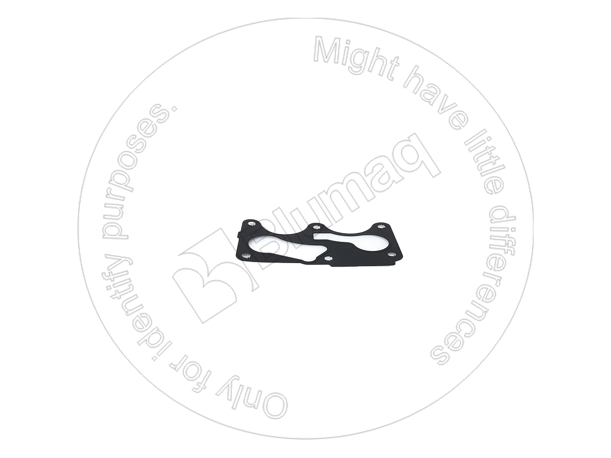 227-4892 Gasket for BLUMAQ